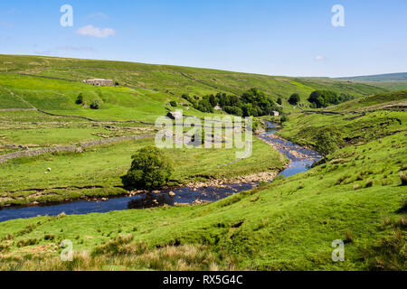 Paesaggio di campagna inglese con fattoria e granai sul fiume Swale in Upper Swaledale, Yorkshire Dales National Park, North Yorkshire, Inghilterra, Regno Unito, Gran Bretagna Foto Stock