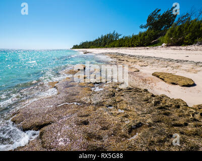 Strada bianca spiaggia, remota spiaggia tropicale, rock Suono, Eleuthera, Bahamas, dei Caraibi. Foto Stock