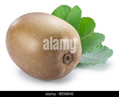 Golden kiwi o uva spina cinese con foglie isolati su sfondo bianco. Foto Stock