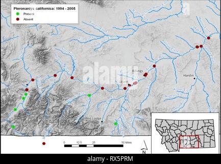 Valutazione di salmonflies nel Montana la valutazione di salmonflies nel Montana i fiumi : sono popolazioni statewide veramente in calo? Ee1b16f5-bb57-4522-9eb1-ece006BD5e00 Anno: 2010 Pteronarcys californica: 1994 -2005 mi • Presente # assente 18 Foto Stock
