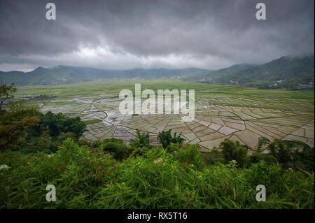 Spider Web campi di riso visto dal Cancar village, a ovest di Ruteng sull isola di Flores, Indonesia. Questi campi di riso sono a differenza di qualsiasi altro al mondo. Foto Stock