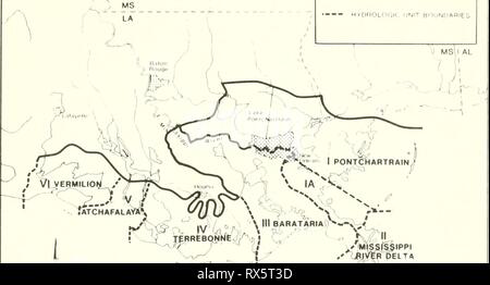 L'ecologia delle paludi del Delta di ecologia del delta paludi costiere della Louisiana : un profilo di comunità ecologyofdeltama00goss Anno: 1984 ( V AREA DI STUDIO UNITÀ HYDDOLOGK BOuNIIARIE; . , FT^n.,,:,... Ho PONTCHARTRAINj h^, la ^4; '-^ j^RR^BO^Nrft^^.J S G(/tF DEL MESSICO Foto Stock