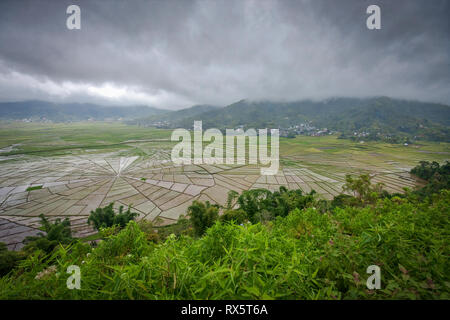 Spider Web campi di riso visto dal Cancar village, a ovest di Ruteng sull isola di Flores, Indonesia. Questi campi di riso sono a differenza di qualsiasi altro al mondo. Foto Stock