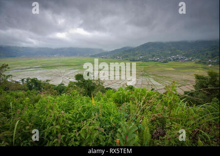 Spider Web campi di riso visto dal Cancar village, a ovest di Ruteng sull isola di Flores, Indonesia. Questi campi di riso sono a differenza di qualsiasi altro al mondo. Foto Stock