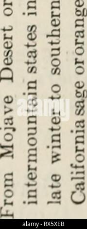 Aspetti economici del bee aspetti economici dell'industria apicola economicaspectso555voor Anno: 1933 40 Università op stazione CaliforniaâExperiment 03 S Â 03 O fa iâi q - 5 3 CO O Eh K O O a w a M  d 'C a 03 a a CO 03 w Â" O X D 73 bo Â" ja s  co -d 3 bfi 3 a o O3 * a a. - 3 -d o3 .2 Â O ** -^ ^Â" c c 2 -^ 0J MT3 -C Â§ M "3 C 0 H C ij oi O 2 d 3 o un? O J2 o3 Â 4) Â t3 d t .2 8 GO ^j i- s s o a t-&gt; 0 )i bfi a&GT; .9 â¢Â§ a y p*&GT; CD S3 03 03 j3 O Â"4 Â M M Â âº'3 s o .4 c3 (4 c CO Â 3 o â¢o U ad es 00 o c .2 ai 3 '&; u un 'vado 00 &gt; 03 -*â d '3 c 0 3 S 2 Â" 2 u Â" 03 O 1-9 c 03 CO CO Foto Stock