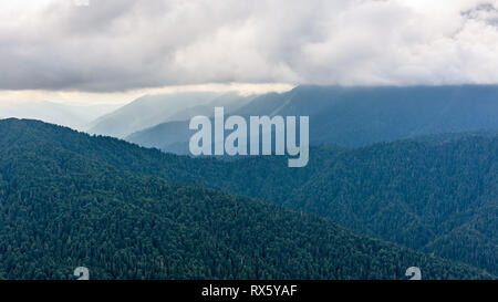 La valle tra le montagne coperte di foreste in caso di nebbia fitta. Array Chugush 3237 m sulla destra è scomparso tra le nuvole. Sfondo di mountai Foto Stock