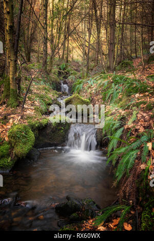 Una piccola cascata precipita verso il basso attraverso la foresta su una giornata di inverni. Foto Stock