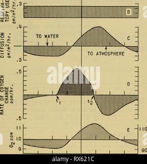 L'ecologia delle alghe ecologia delle alghe : un simposio tenutosi presso il Pymatuning Laboratorio di Biologia di campo il 18 e il 19 giugno 1959 ecologyofalgaesy00tryo Anno: 1960 L uce di ^iiiiiiiiiiiiiMMMMiMJ 'V''T'*'*''''H''''''n 6 12 18 Tempo di giorno in ore diurne relativi OSSIGENO ONS I N una ipotetica sezione di flusso F i Qure 5 modi sono fuggiti da Odurr, 1956 61 Foto Stock