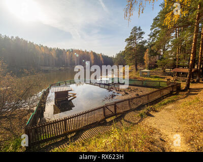 Il lago con una penna per gli uccelli acquatici anatre , circondata dalla foresta di autunno Foto Stock