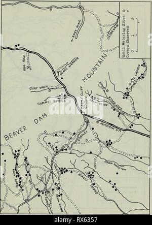 Gli effetti di sviluppo di acqua gli effetti di sviluppo di acqua su popolazioni di Gambel's quaglie in a sudovest Utah effectsofwaterde655nish Anno: 1964 -27- figura El. Distribuzione generale di quaglia, 1962 1963 Foto Stock