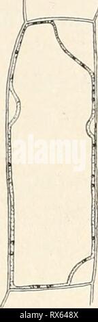 Einführung in die Biologie (1912) Foto Stock