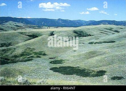 Ottanta anni di vegetazione e di ottanta anni di vegetazione e il paesaggio cambia nel nord della Grande Pianura : un archivio fotografico eightyyearsofveg45klem Anno: 2001 Storia, Wyoming Posizione Sheridan Co., WY; Sec. 15, R. 83 W., T. 53 N.; GPS-UTM 4936150 N, 353906 E. circa 3 miglia a est di storia. Da Buffalo, Wyoming viaggiare verso nord sulla U.S. Interstate 90 per l'uscita 44. A nord-ovest di viaggio negli Stati Uniti. Autostrada 87/Wyoming Highway 344 circa 5 miglia al massacro Hill monumento, sito di Fetterman Massacre. Photopoint è sulla grande collina a circa mezzo miglio a sud-ovest del monumento. Descrizione settembre8, 1999 Uplan Foto Stock