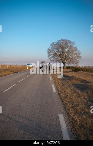 Un gruppo di persone si allontana dalla macchina fotografica lungo una strada in alto sulle montagne delle Cévennes verso un furgone parcheggiato, Francia Foto Stock