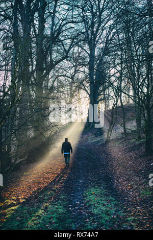 Uomo che cammina in un bosco invernale nelle prime ore del mattino la nebbia e sole Oxfordshire, Inghilterra Foto Stock