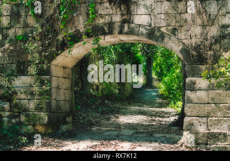 Un antico arco in pietra nel mezzo di una foresta Foto Stock