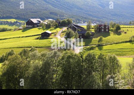 Terreni coltivati e pascoli in Norvegia. Area agricola nella regione di Oppland. Foto Stock