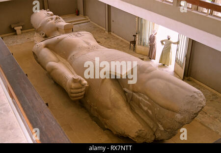 Statua colossale di Ramses II, giacente a terra. Rovine di Memphis. L'Egitto. Africa Foto Stock