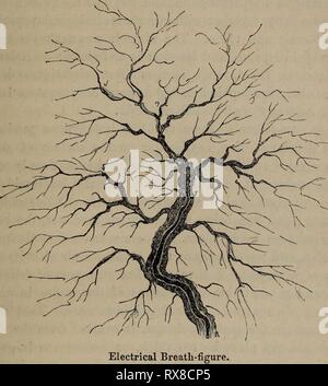 Edinburgh New filosofico ufficiale (1861) Edinburgh New filosofico ufficiale edinburghnewphil141861 Anno: 1861 Signor Charles Tomlinson sul fulmine Figun 257 leggermente increspata linea, che rappresenta la linea di minor resistenza o il percorso di scarico principale. Derivazione da questa linea sono numerose ramificazioni, esattamente come i rami di un albero ; e da ogni ramo procedere ramoscelli di grandi dimensioni e da questi più piccoli di estrema bellezza e la delicatezza di texture. La figura secondario è molto meno complicato, costituite da solo il tronco principale e uno o due rami, ma la figura principale Foto Stock