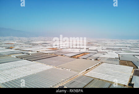 Antenna fuco sopra il punto di vista della quantità di lotto di politene esterno in plastica serre serre dove coltivano frutta e verdura in Almerimar, Foto Stock