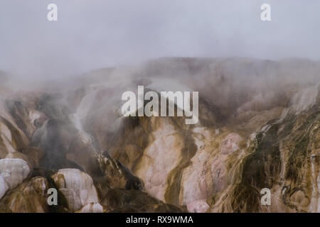 Foschia sopra Mammoth Hot Springs nell'inverno del 2019 presso il Parco Nazionale di Yellowstone. Foto Stock