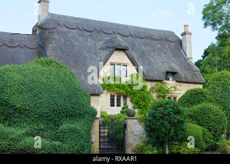 Grazioso tetto di paglia cottage inglese nelle zone rurali del Cotswold campagna, con il glicine sul muro, topiaria da arbusti e alberi in giardino frontale su un soleggiato Foto Stock