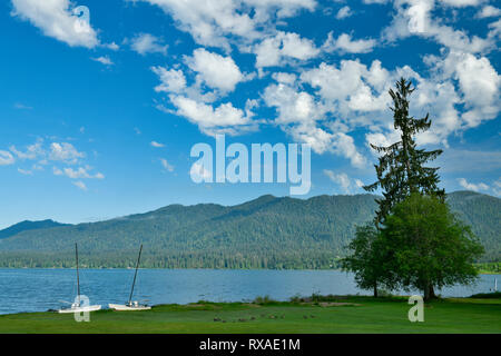 Lago Quinault, Olympic National Forest, nello Stato di Washington, USA Foto Stock