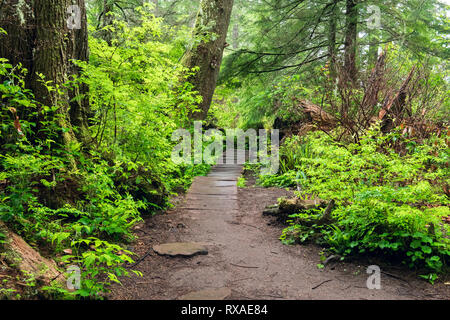 Le lusinghe del capo, Pacific Northwest, nello Stato di Washington, USA Foto Stock