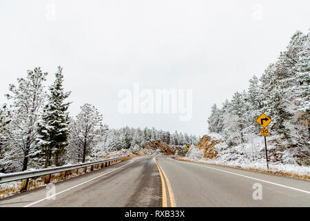 Paese vuota strada in mezzo snowy alberi di conifere contro il cielo chiaro durante il periodo invernale Foto Stock