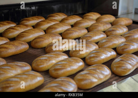 Angolo di Alta Vista del pane cotto sul nastro trasportatore in fabbrica Foto Stock