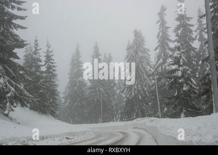 Strada di inverno in montagna in inverno in scena con la neve, alberi, winter resort Smolyan, Bulgaria, Monti Rodopi. Strada in valle di montagna, favola invernale Foto Stock