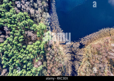 Vista aerea del bellissimo lago e foresta in Europa Foto Stock