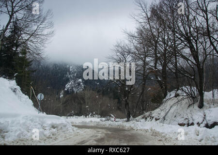 Strada di inverno in montagna in inverno in scena con la neve, alberi, winter resort Smolyan, Bulgaria, Monti Rodopi. Strada in valle di montagna, favola invernale Foto Stock