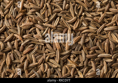 Organico essiccato di semi di cumino full frame close up Foto Stock