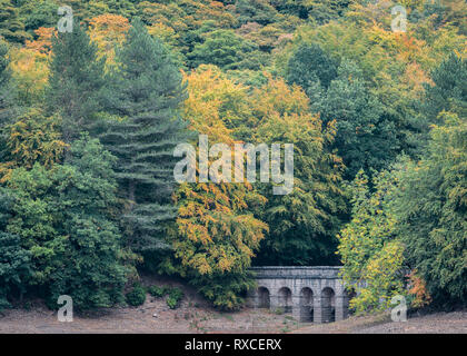 Il ponte di pietra nascosto tra alti alberi colorati a Derwent serbatoio nel Peak District Inghilterra Regno Unito Foto Stock
