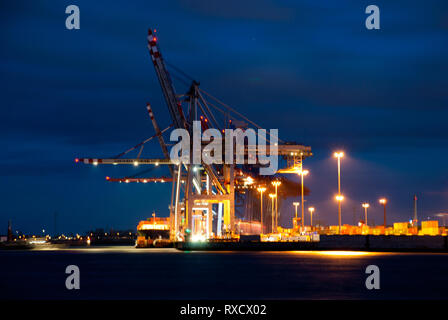 Contenitore morsetto 'Tollerort' nel porto di Amburgo (Germania) durante ore blu Foto Stock