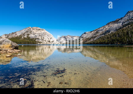 Riflessi nel Lago Tenaya Foto Stock