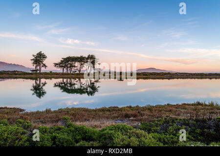 Crissy Field allo spuntar del giorno Foto Stock