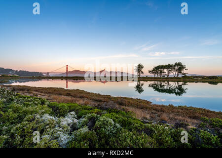 Crissy Field allo spuntar del giorno Foto Stock