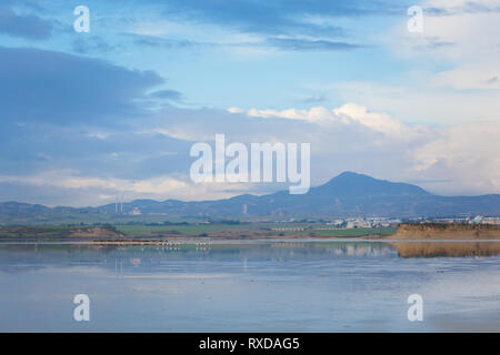 Bella Akrotiri Salt Lake pieno di fenicotteri rosa uccelli vicino a Larnaca. Paesaggio con la fauna prese sulla isola di Cipro. Foto Stock