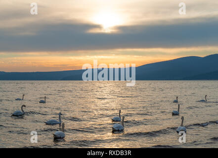 Trevignano Romano (Italia) - Una bella città medievale sul lago di Bracciano, provincia di Roma e della regione Lazio, qui al tramonto Foto Stock