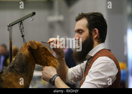 Birmingham, Regno Unito. 9 Marzo, 2019. Un terrier riceve un last minute pettine prima dello spettacolo. Credito: Pietro Lopeman/Alamy Live News Foto Stock