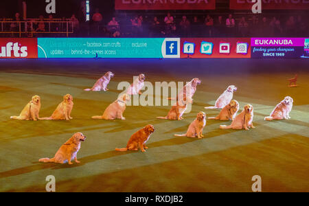 NEC di Birmingham, UK. 9 Mar 2019. Southern Golden Team di visualizzazione eseguire nell'arena principale in questo decennio il Crufts Credito: charlie bryan/Alamy Live News Foto Stock