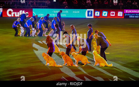 NEC di Birmingham, UK. 9 Mar 2019. Southern Golden Team di visualizzazione eseguire nell'arena principale in questo decennio il Crufts Credito: charlie bryan/Alamy Live News Foto Stock