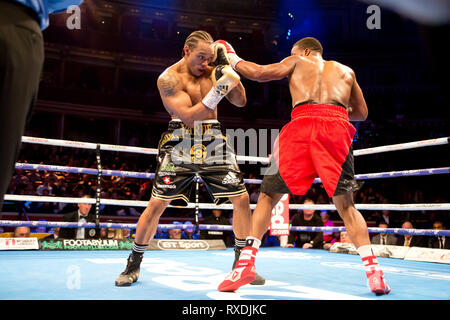 Londra REGNO UNITO 8 marzo 2019 Boxe ritorna alla Royal Albert Hall kensington gore Londra Anthony Yarde sconfigge Travis Reeves in wbo intercontinental Pesi Mediomassimi concorso presso la Royal Albert Hall Anthony Yarde v Travis Reeves Credito: Dean Fardell/Alamy Live News Foto Stock