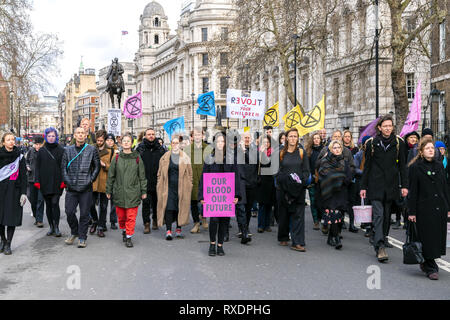 Londra, Regno Unito. 9 Mar, 2019. Estinzione della ribellione Rally una dimostrazione a Downing Street. Donna che mantiene banner 'il nostro sangue il nostro futuro". Credito: AndKa/Alamy Live News Foto Stock