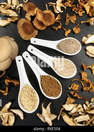 Funghi medicinali - sana nutrizione Foto Stock