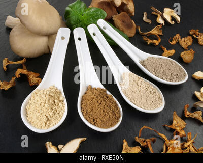 Funghi medicinali - sana nutrizione Foto Stock