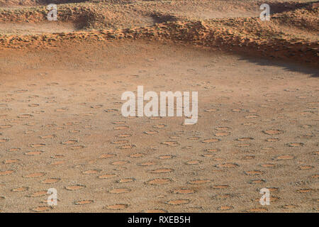 Cerchi di fata del Namib Naukluft National Park, Namibia. Foto Stock