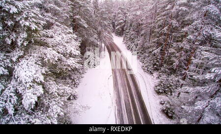 La strada in mezzo alla foresta di neve. Alti alberi coperti di neve spessa su una stagione invernale in Estonia Foto Stock