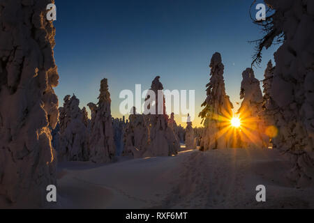 Splendido panorama ripreso in polacco monti Beskidy sul modo per Rysianka durante l inverno nevoso. Paesaggio catturati durante il trekking in sunset. Foto Stock